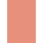 Allık - Blush-On Pink Coral 6 g 8690604390939