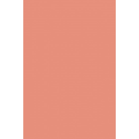 Allık - Blush-On Pink Coral 6 g 8690604390939