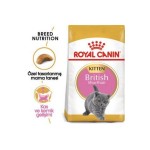 British Shorthair Kitten Kedi Kuru Maması 2 kg