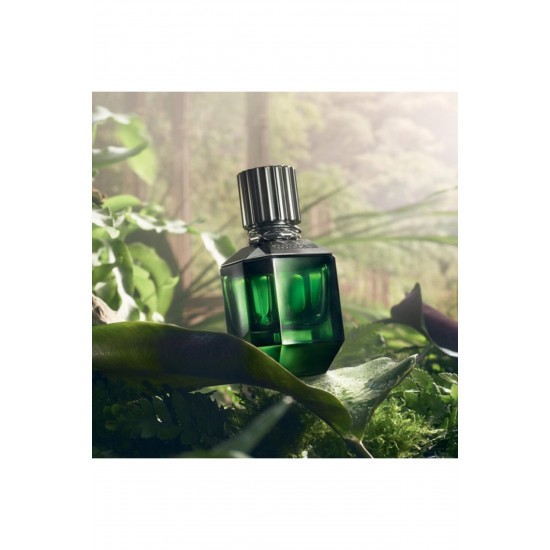 Paradise Found Men Edt 50 ml Erkek Parfüm