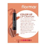 Color Up Lip Crayon Kahverengi Ruj 003 8690604503308